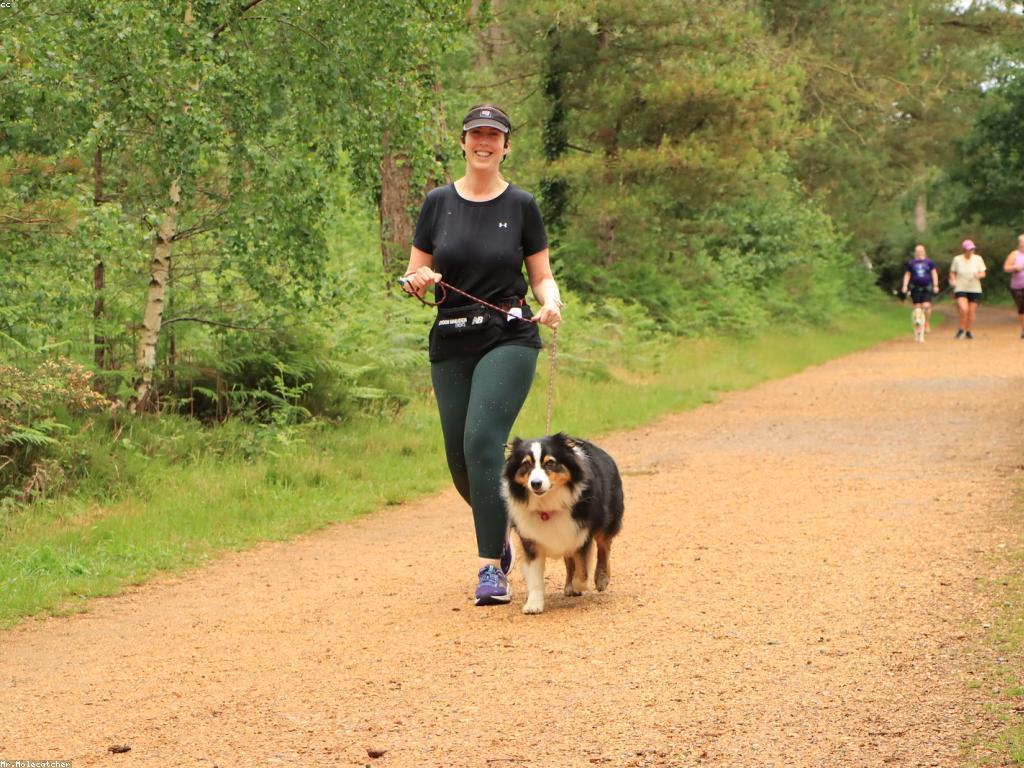 អាជីពនៃការប្រកួត: កាតាពីការប្រកួត