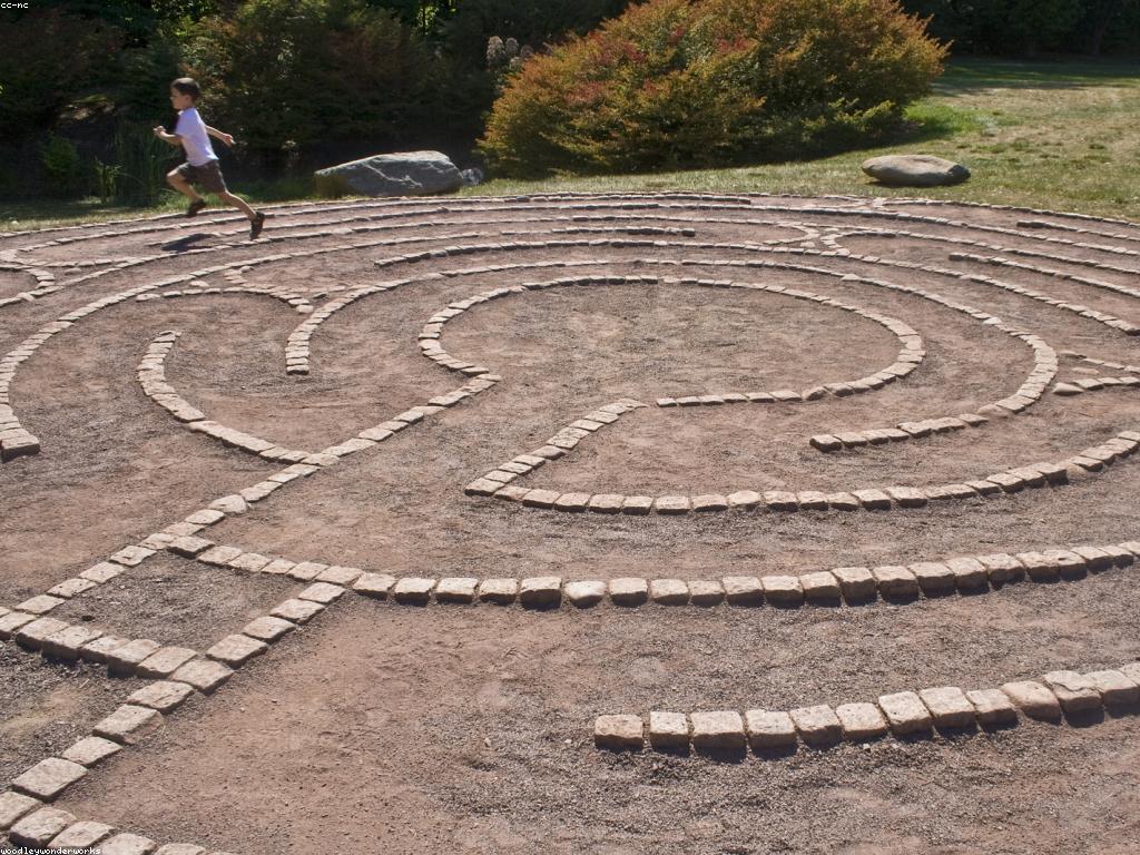 សំណួរនៅចិត្ត៖ ការស្វែងរកចម្លើយ និងភាពជោគជ័យ