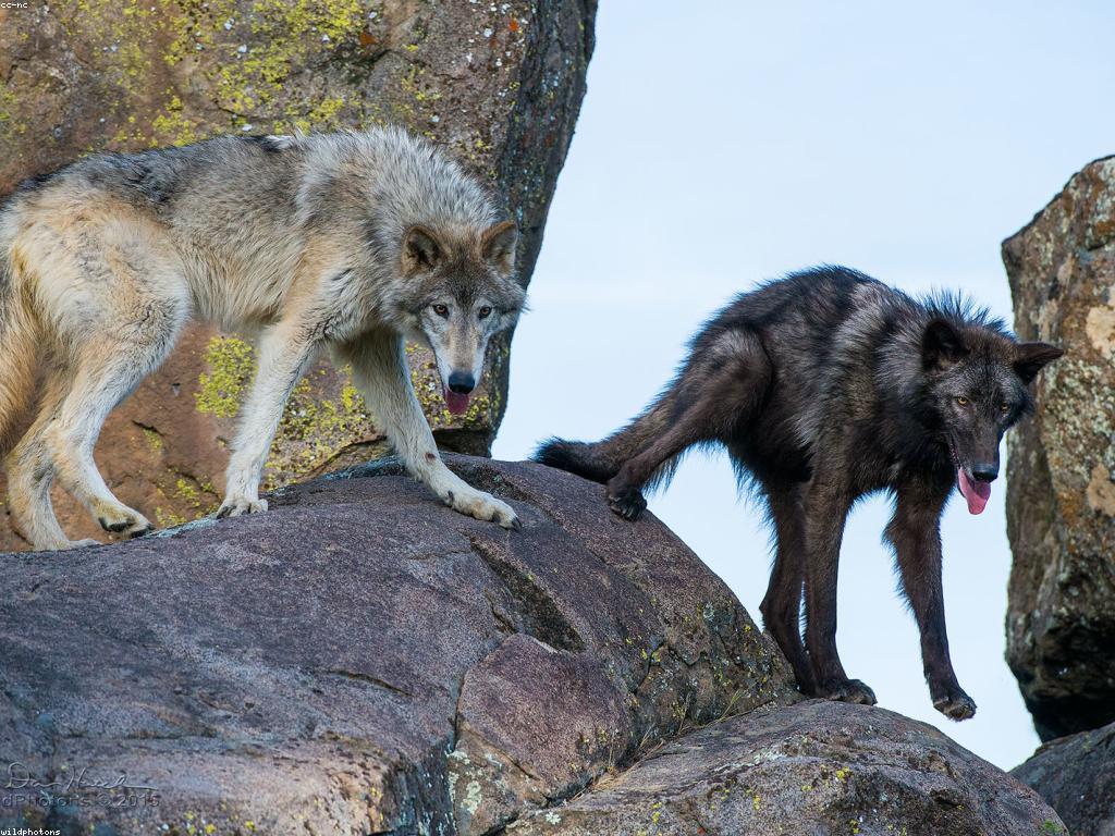 អត្ថប្រយោជន៍នៃវប្បធម៌ស្វាគមន៍ក្នុងអង្គការ