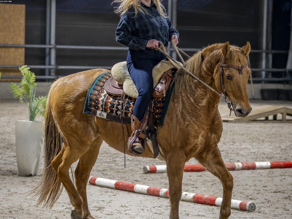 កាតាពីការប្រកួត: ការវិភាគនិងចំណេះដឹងថ្មី