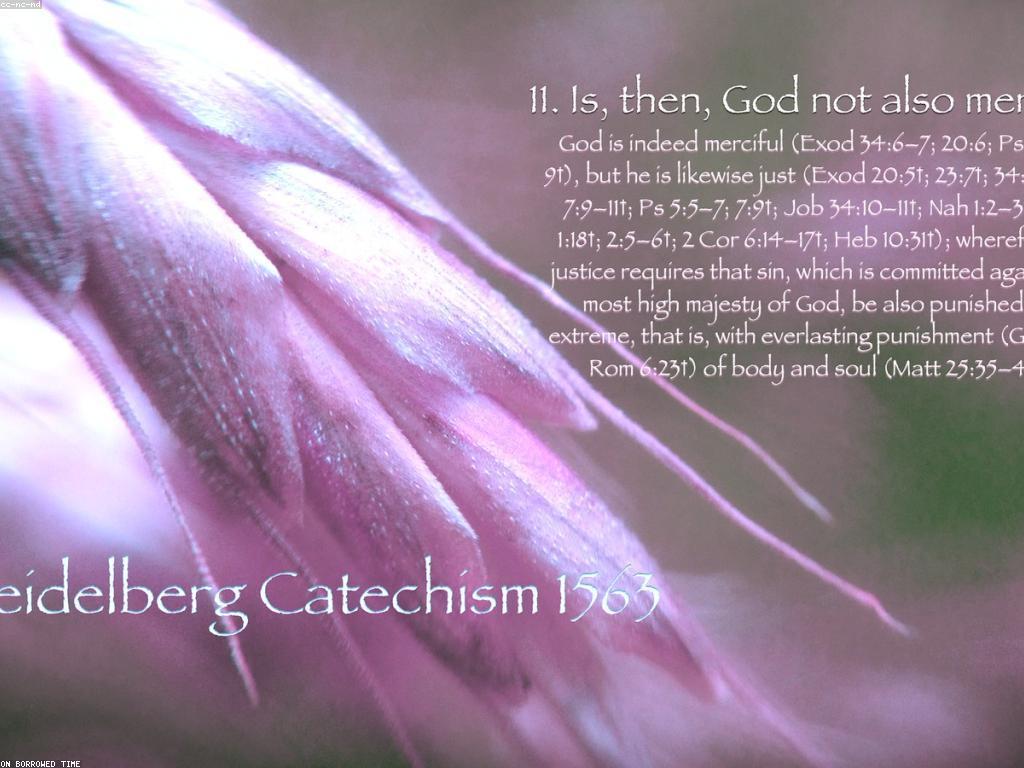 សំណួរនៅចិត្ត: ហេតុអ្វីបានជា យើងមានសំណួរនៅក្នុងចិត្ត?