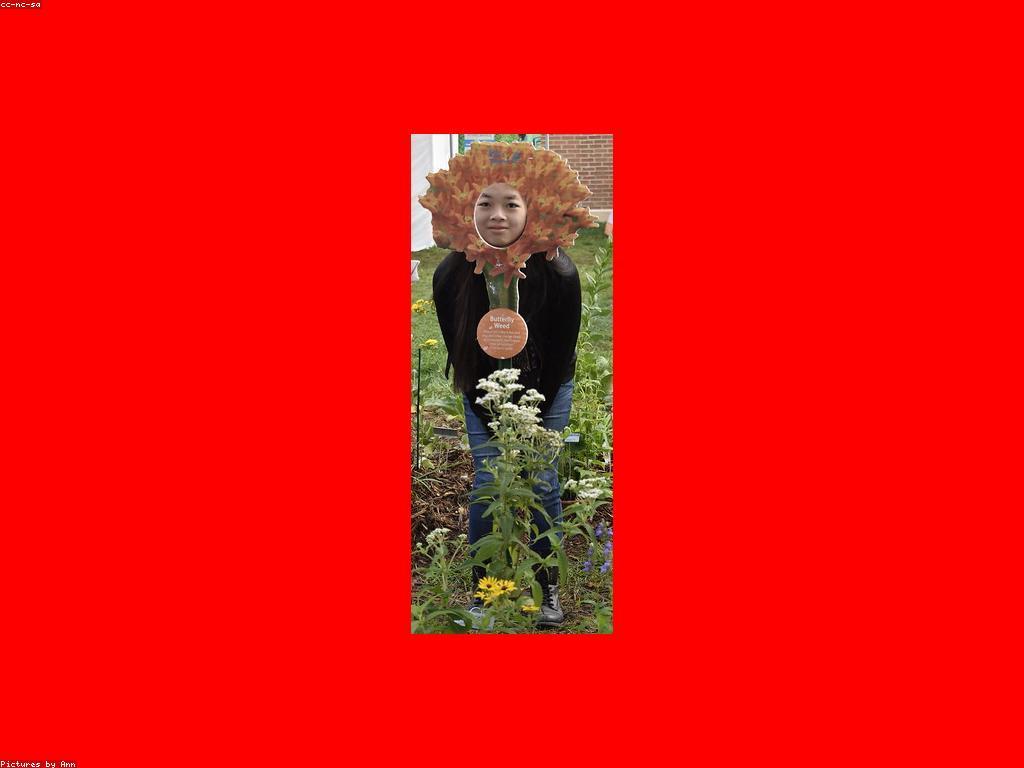 វិធីសាស្ត្រទទួលបានបទពិសោធន៍ថ្មីៗ