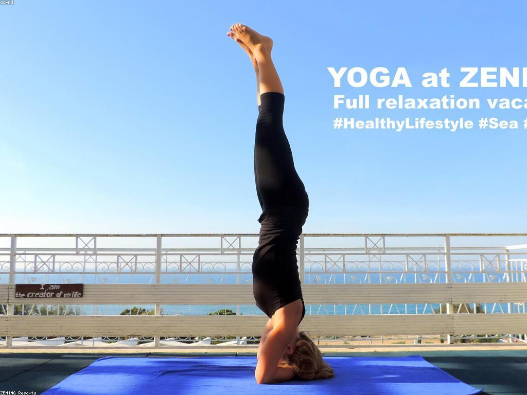 សំណួរនៅចិត្ត: ការស្វែងរកពីចិត្តដើម្បីជីវិតល្អប្រសើរ