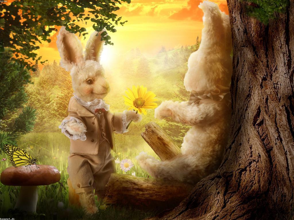 សំណួរនៅចិត្ត: ការស្វែងយល់ពីផ្លូវចិត្តនិងអារម្មណ៍