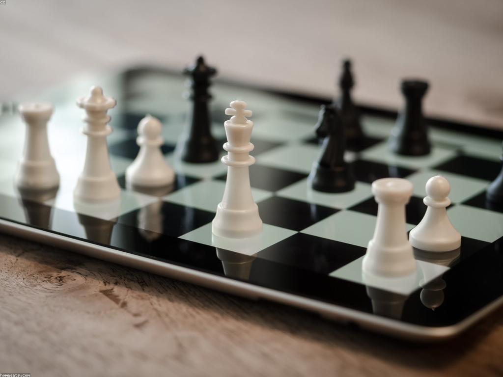 កាតាពីការប្រកួត: ការពិភាក្សាអំពីវិធីប្រកួតនិងការសម្រេចចិត្ត